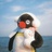 Cissy_XQ
