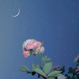 春风依旧很温柔