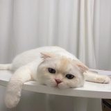 我的妈耶