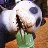 李动拳