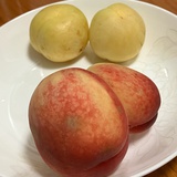 田花