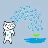 偷感老鼠猫