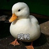 柳丁脚踏车