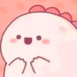 今天也是momo呀