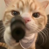 别看了
