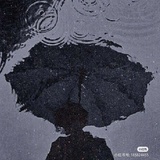 海蒂