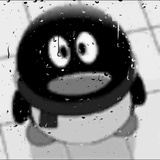 zgd