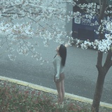 鱼又盈